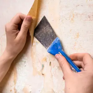 wallpaper removal service georgia